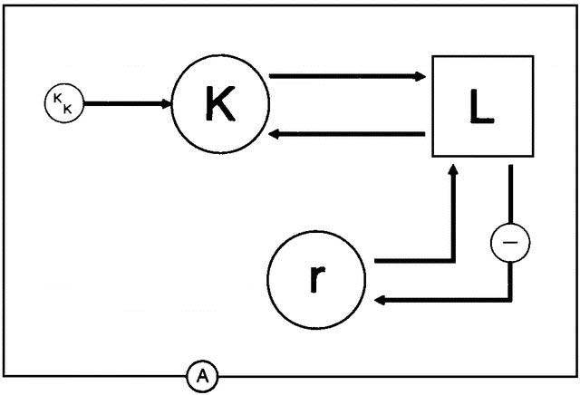 rev9813fig18a.jpg